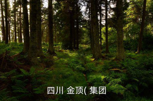 金頂集團(tuán)怎么樣,四川金頂集團(tuán)股東梁海轉(zhuǎn)讓股權(quán)價格沒溢價