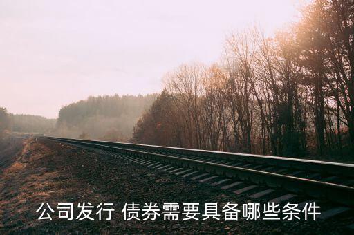 公司怎么發(fā)債券,中華人民共和國(guó)第一百五十三條公司債券法律