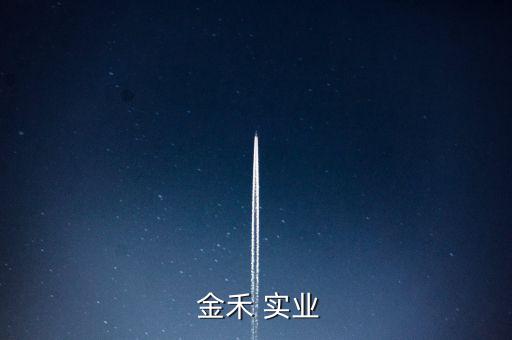  金禾 實(shí)業(yè)