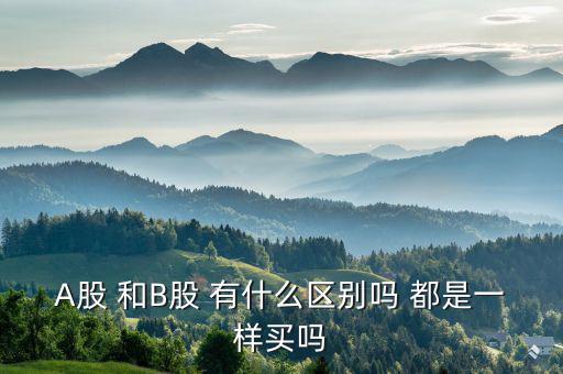 A股 和B股 有什么區(qū)別嗎 都是一樣買(mǎi)嗎