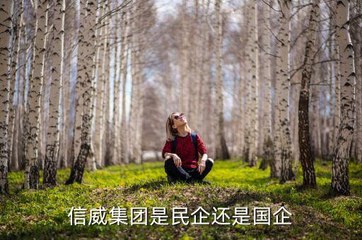 信威集團(tuán)是什么公司，信威集團(tuán)是民企還是國(guó)企