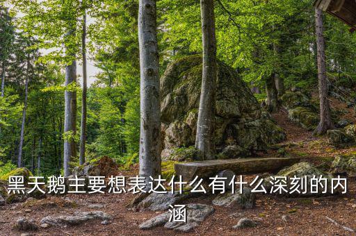 黑天鵝書(shū)說(shuō)的是什么，黑天鵝主要想表達(dá)什么有什么深刻的內(nèi)涵