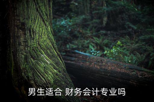 男財務怎么樣,一個合格的男會計最高境界是成為財務主任