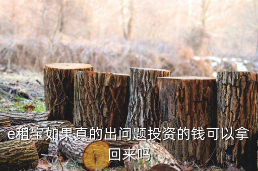 e租寶注冊有什么風險，朋友讓我給他注冊個e租包賬號安全嗎