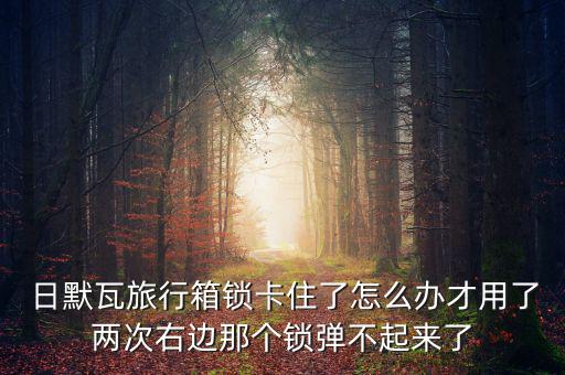 日默瓦旅行箱鎖卡住了怎么辦才用了兩次右邊那個(gè)鎖彈不起來(lái)了