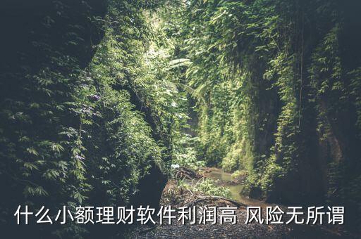 什么小額理財(cái)最安全，什么小額理財(cái)軟件利潤高 風(fēng)險(xiǎn)無所謂