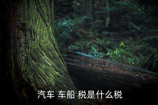汽車(chē)車(chē)船稅是怎么樣,車(chē)船稅是對(duì)車(chē)輛、船舶征收的稅