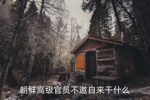 朝鮮領(lǐng)導人為什么不出訪，朝鮮高級官員不邀自來干什么