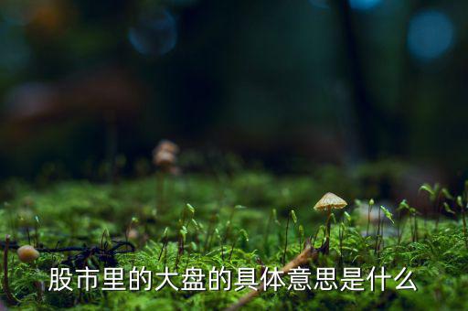 股票中大盤是什么意思，股市里的大盤的具體意思是什么