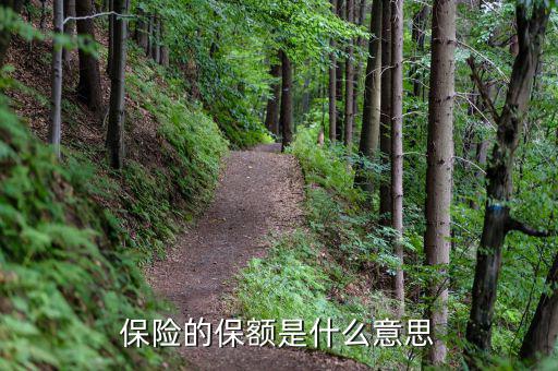 保險保額是什么意思，保險里的保額是啥意思