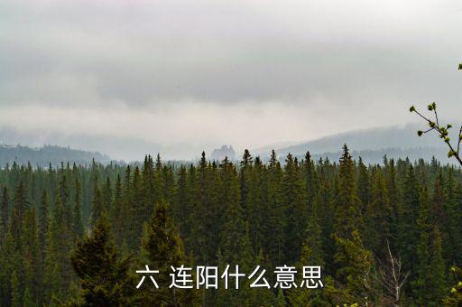六 連陽什么意思