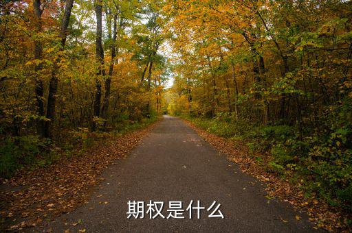 股票期權(quán)是什么，期權(quán)和股權(quán)有什么本質(zhì)區(qū)別嗎