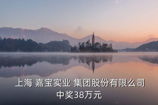  上海 嘉寶實(shí)業(yè) 集團(tuán)股份有限么司中獎38萬元