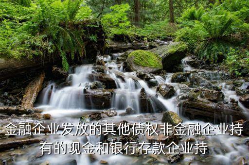非金融債權(quán)是什么意思，非金融領(lǐng)域債務(wù)是什么意思