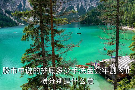 莊家固定幾手的持續(xù)買進什么意思，莊家不停的固定幾手拋是什么意思 比如002430 4月25日 9手9手的拋