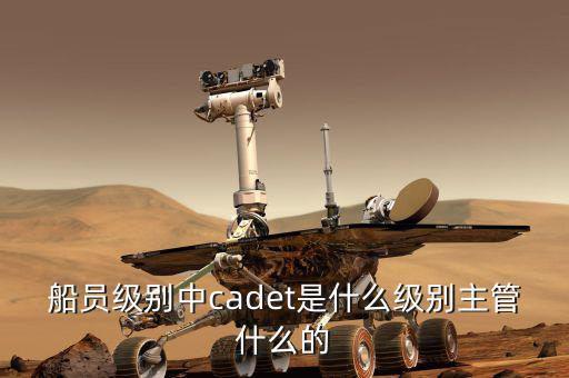 中船總經(jīng)理什么級別，中國船舶總公司總經(jīng)理啥級別