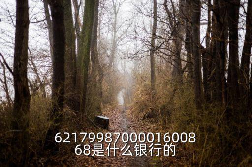 中債資信屬于什么銀行，6217998700001600868是什么銀行的