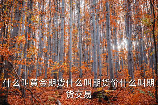 什么是期貨價(jià)，什么叫黃金期貨什么叫期貨價(jià)什么叫期貨交易
