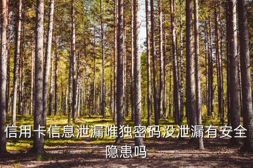 信用卡信息泄露有什么風險，信用卡信息泄漏唯獨密碼沒泄漏有安全隱患嗎