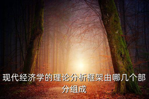 現(xiàn)代經(jīng)濟學(xué)的理論分析框架由哪幾個部分組成