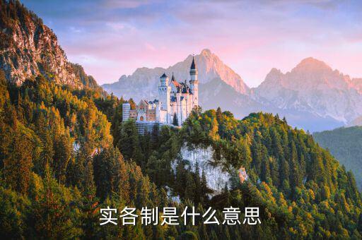什么是實貨制，實體制是什么意思