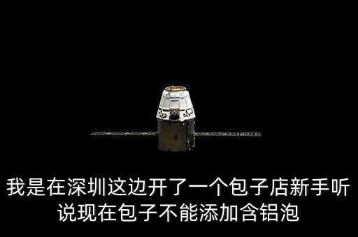 包子禁止添加什么，我是在深圳這邊開(kāi)了一個(gè)包子店新手聽(tīng)說(shuō)現(xiàn)在包子不能添加含鋁泡