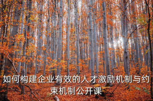 財務(wù)激勵與約束機制的設(shè)計原則是什么，財務(wù)激勵約束機制的概念是什么