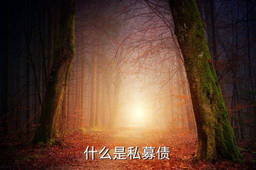 什么是小貸公司私募債，什么是私募債