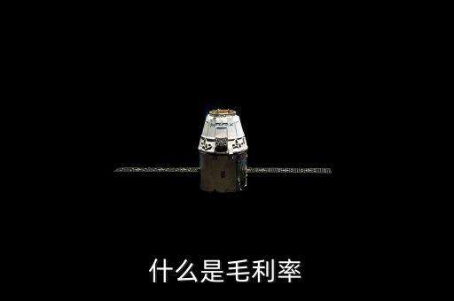 毛利率是什么，毛利率是什么意思