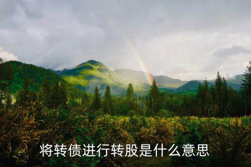 什么是債轉(zhuǎn)股，將轉(zhuǎn)債進行轉(zhuǎn)股是什么意思