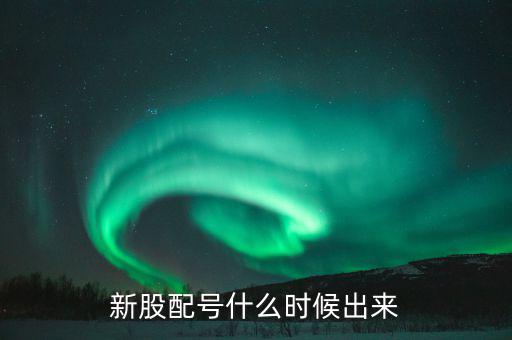 新股配號(hào)什么時(shí)候出來