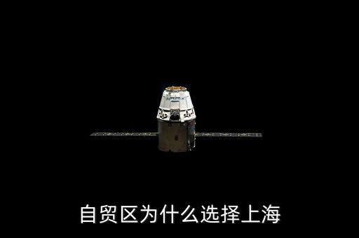 自貿區(qū)為什么選擇上海
