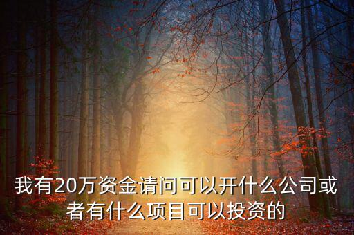 我有20萬(wàn)資金請(qǐng)問(wèn)可以開什么公司或者有什么項(xiàng)目可以投資的