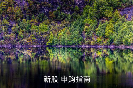  新股 申購指南