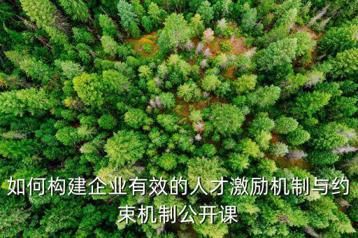 如何構建企業(yè)有效的人才激勵機制與約束機制公開課