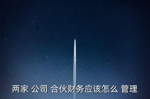 合伙公司怎么管理公司帳戶,合伙on公司財務怎么管理?