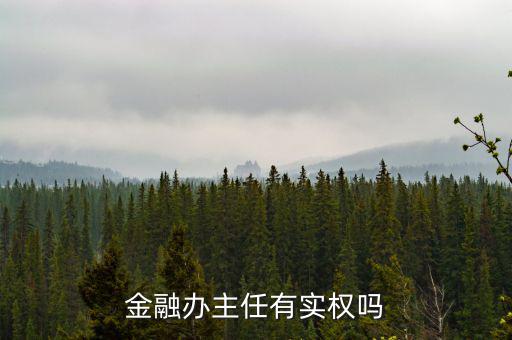 金融辦主任有實(shí)權(quán)嗎