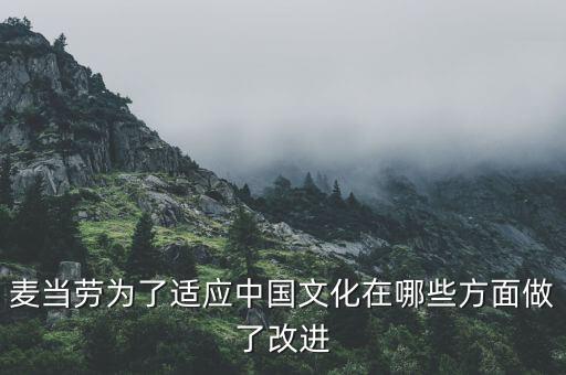 麥當(dāng)勞中國的愿景是什么，麥當(dāng)勞為了適應(yīng)中國文化在哪些方面做了改進(jìn)