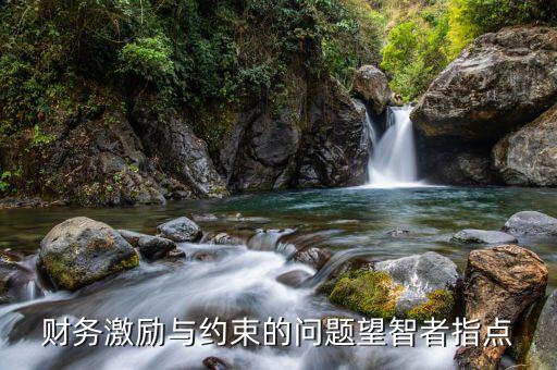 財務激勵與約束的問題望智者指點