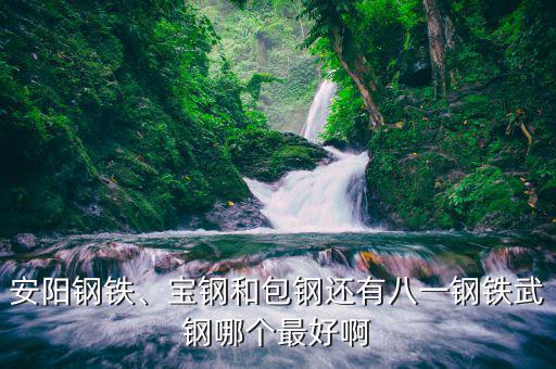 安陽鋼鐵、寶鋼和包鋼還有八一鋼鐵武鋼哪個最好啊