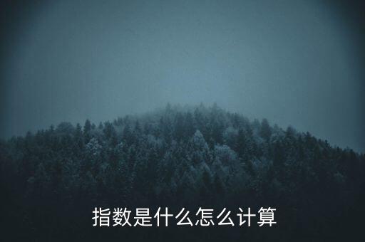  指數(shù)是什么怎么計(jì)算