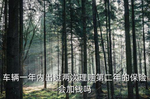 一年中兩次事故理培有什么影響，車(chē)輛一年內(nèi)出過(guò)兩次理賠第二年的保險(xiǎn)會(huì)加錢(qián)嗎