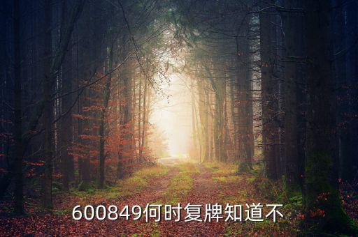 儀電b股什么時候復(fù)牌，600849何時復(fù)牌知道不