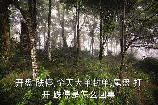 開(kāi)盤(pán) 跌停,全天大單封單,尾盤(pán) 打開(kāi) 跌停是怎么回事