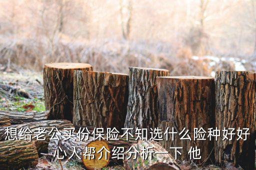 夫妻買什么保險好，想給老公買份保險不知選什么險種好好心人幫介紹分析一下 他