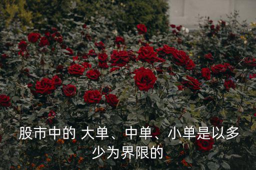  股市中的 大單、中單、小單是以多少為界限的