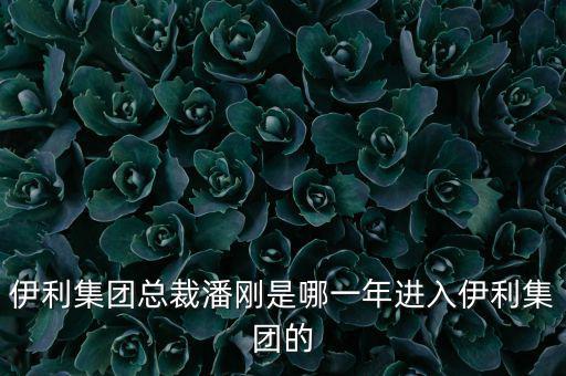 潘剛什么背景，潘剛是哪里人啊