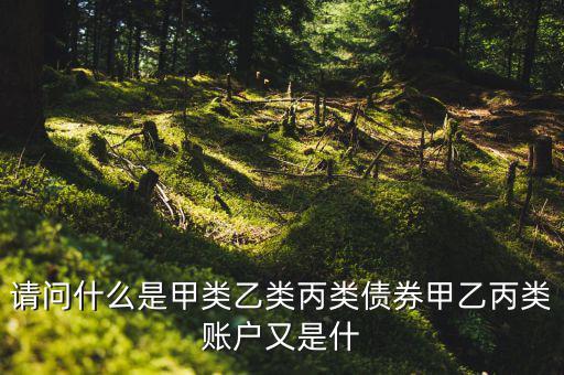請(qǐng)問(wèn)什么是甲類(lèi)乙類(lèi)丙類(lèi)債券甲乙丙類(lèi)賬戶又是什