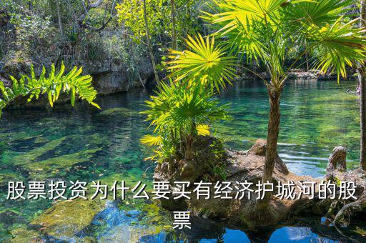 什么是股票投資的護(hù)城河理論，從基本面看證券投資的護(hù)城河是指哪幾類情況