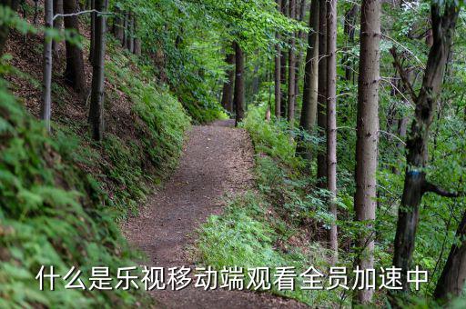 什么是樂視移動(dòng)端，樂視移動(dòng)是什么